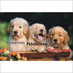 Stickere crestine Credinta, Nadejdea, Dragostea